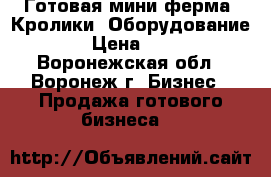 Готовая мини-ферма. Кролики. Оборудование. › Цена ­ 10 - Воронежская обл., Воронеж г. Бизнес » Продажа готового бизнеса   